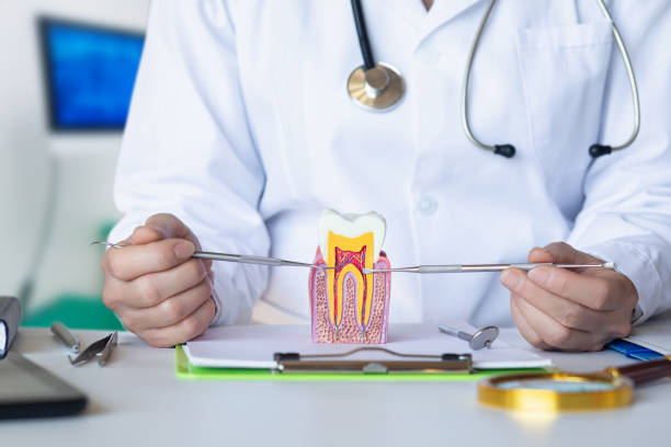 Best Weekend Emergency Dentist in Byron, IL